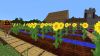 sunflower-field.png