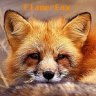 FlamerFox