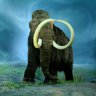 Mammoth
