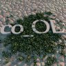 Co_OL