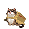 Maru