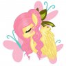 Fluttershy